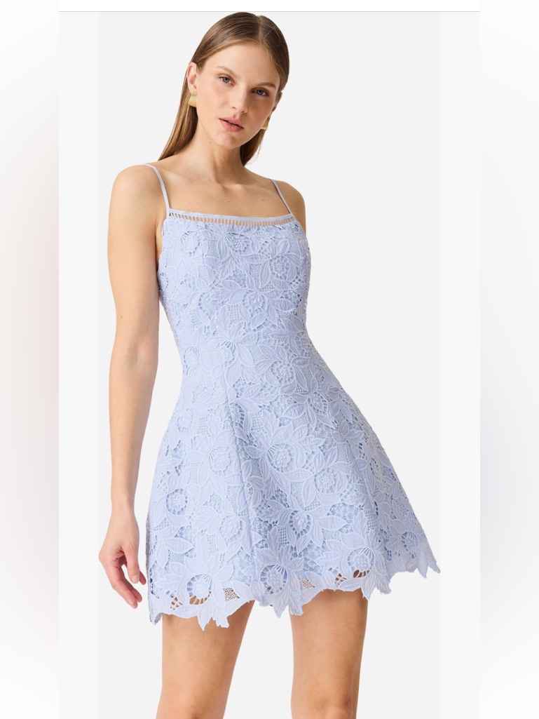 Elliatt Lacy Blue Broderie All Over Lace Tulip Shape Mini Dress Size Small New